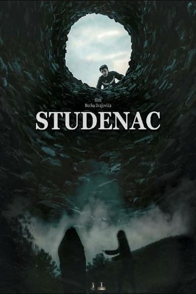 The Well poster