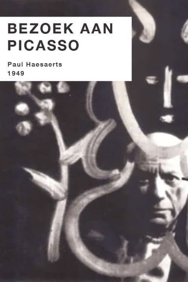A Visit to Picasso poster
