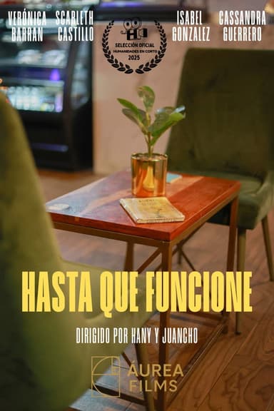 Hasta Que Funcione poster