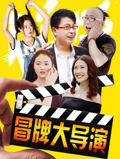 冒牌大导演 poster