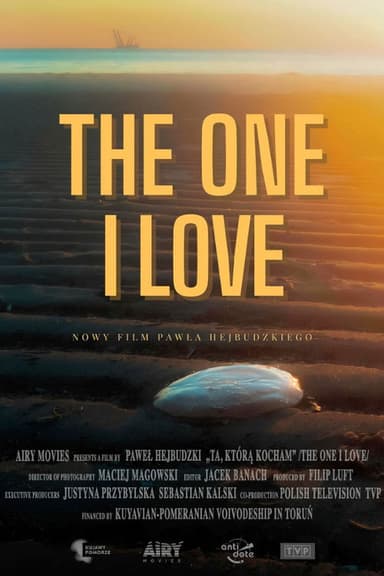 The One I Love poster