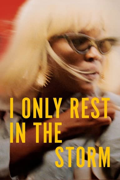 I Only Rest in the Storm poster
