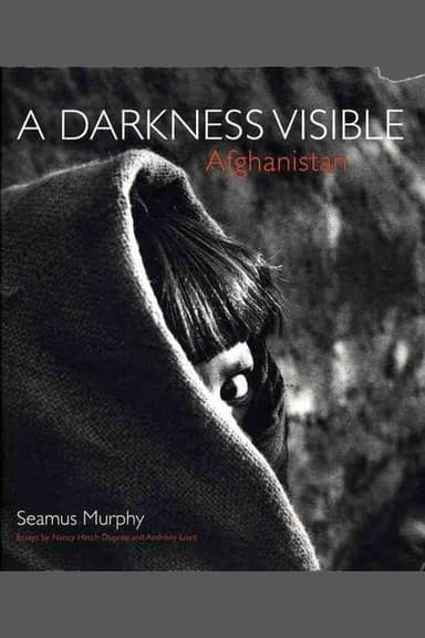 A Darkness Visable: Afghanistan poster