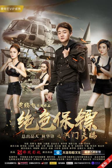 Stunning Bodyguard poster