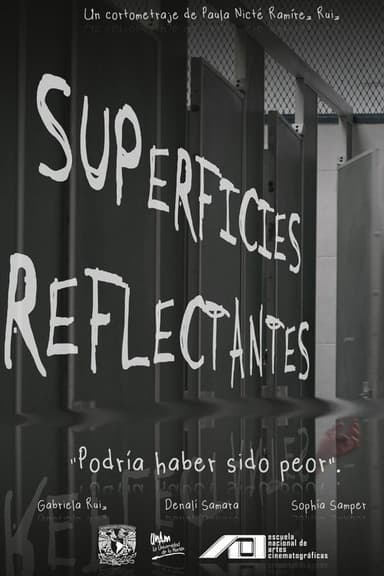 Reflective Surfaces poster