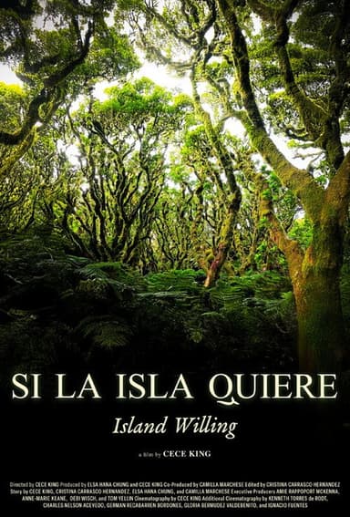 Island Willing poster