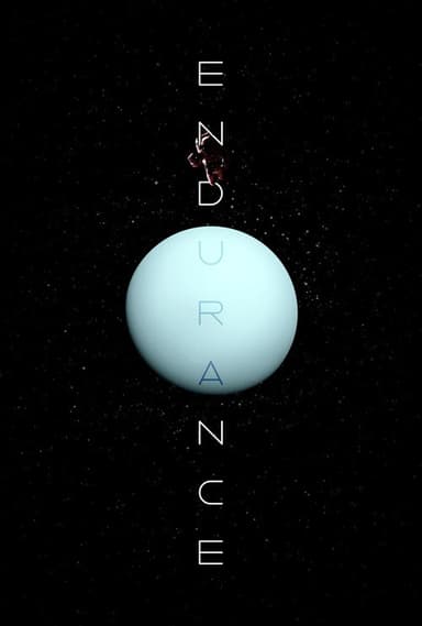 Endurance poster