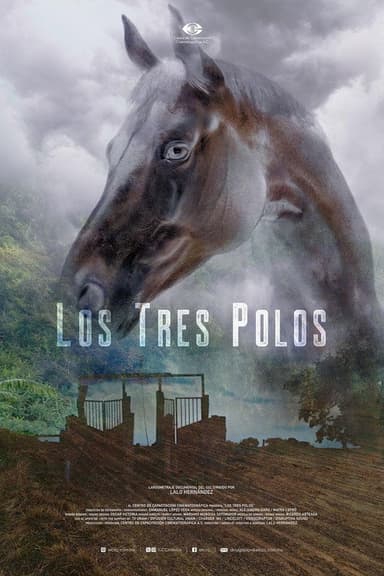 Los tres Polos poster