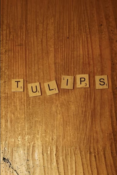 Tulips poster