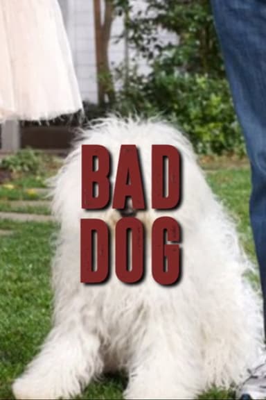 Mark Zuckerberg’s Dog poster