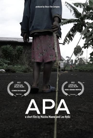 APA poster