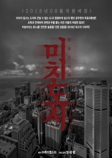 Crazy City poster