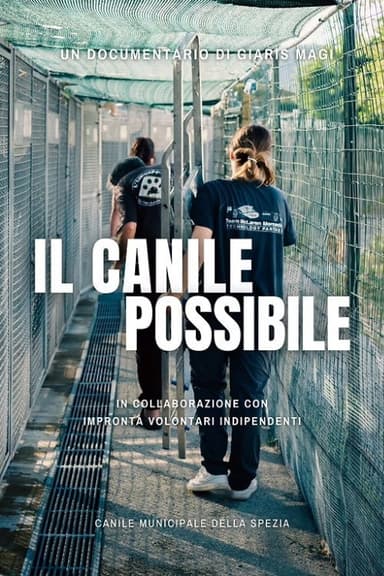 Il Canile Possibile poster