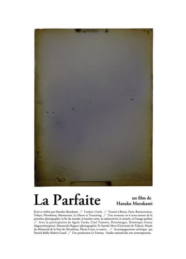 La parfaite poster