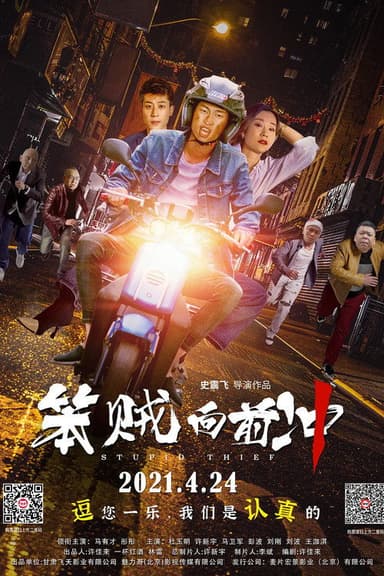 Stupid Thief poster