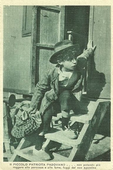 The Little Patriot from Padua poster
