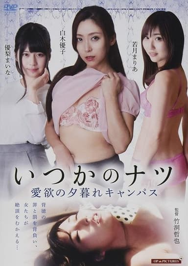 Someday's Summer: A Campus of Love at Dusk poster