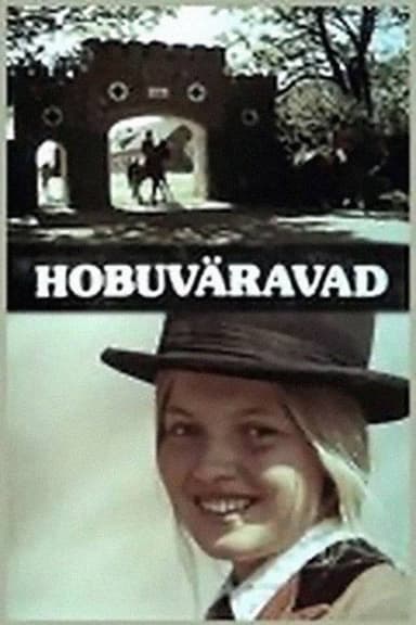 Horse Gate poster