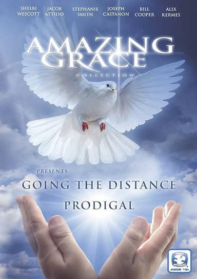 Going The Distance poster