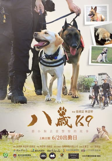 K9 poster