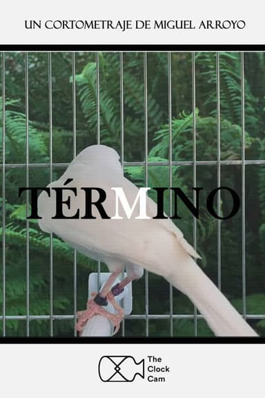 Term poster