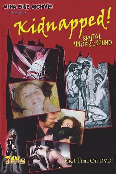 Kidnapped! poster