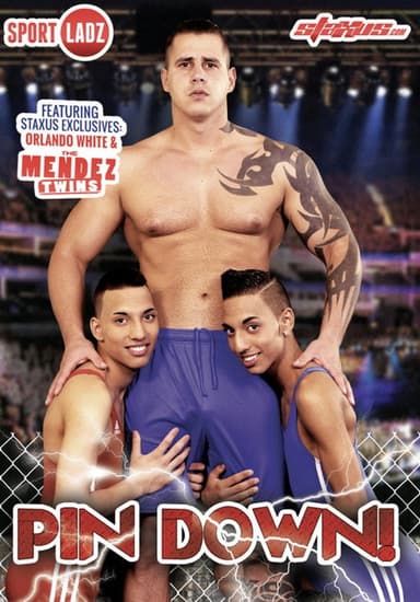 Pin Down poster