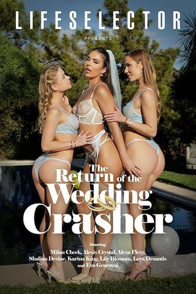 The Return Of The Wedding Crasher poster