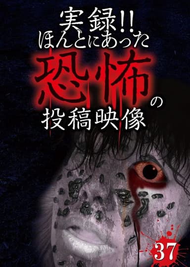 Actual Record! Real Horror Posted Video 37 poster