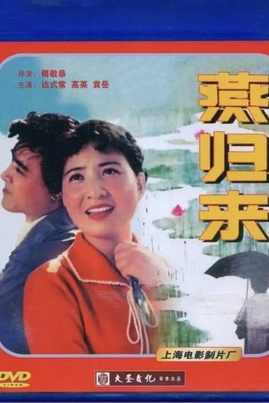 Come Home Swallow poster