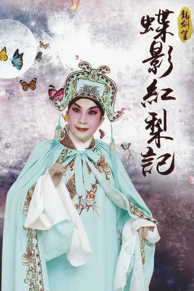龙剑笙：蝶影红梨记 poster