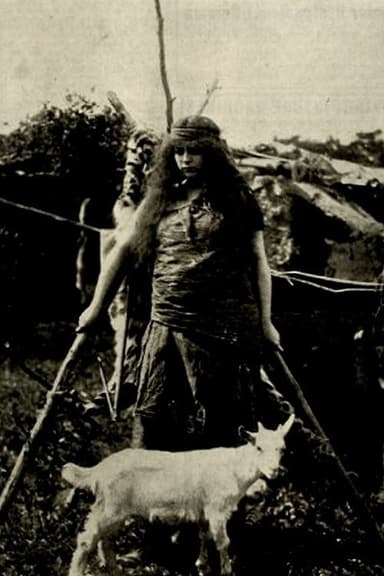 The Wife of Cain poster