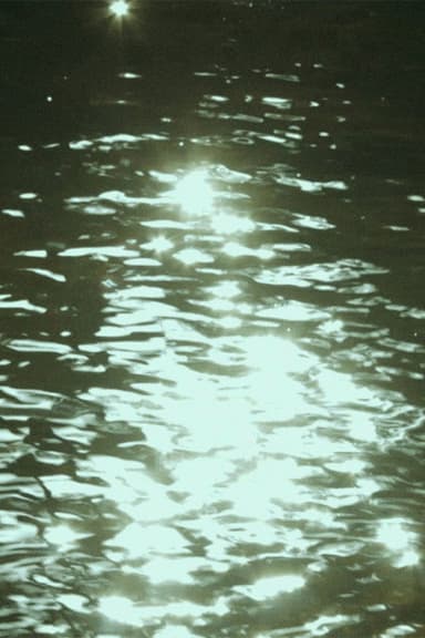 On homes and the telluric poster