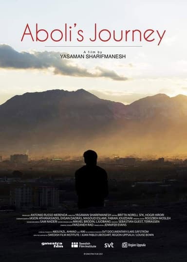 Aboli's Journey poster