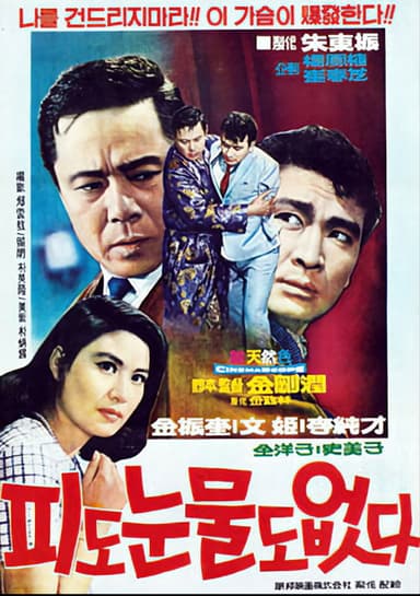 Cruel Revenge poster