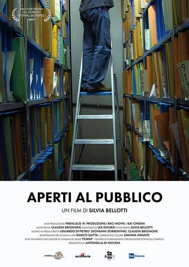 Open to the Public poster