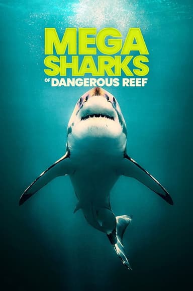 Megasharks of Dangerous Reef poster