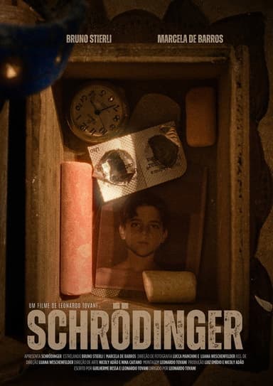 Schrödinger poster