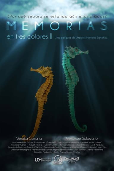 Memorias En Tres Colores poster