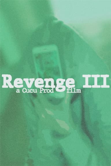 The Revenge III poster