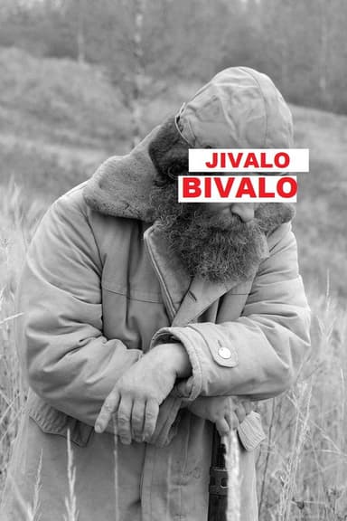 Живало-бывало poster