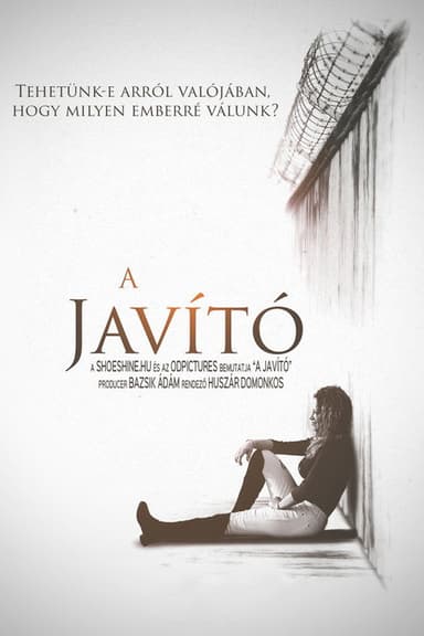 A javító poster