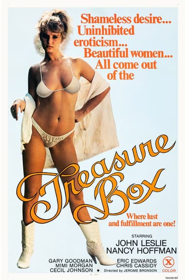 The Treasure Box poster