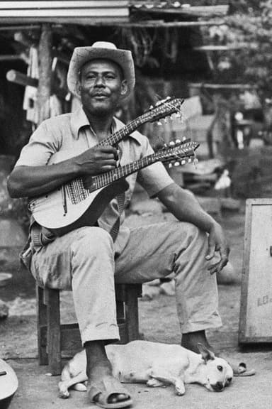 El rey del bandolín poster