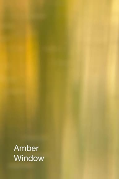 Amber Window poster