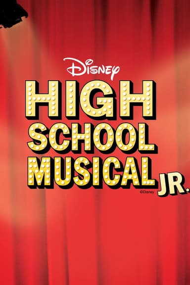 High School Musical Junior poster