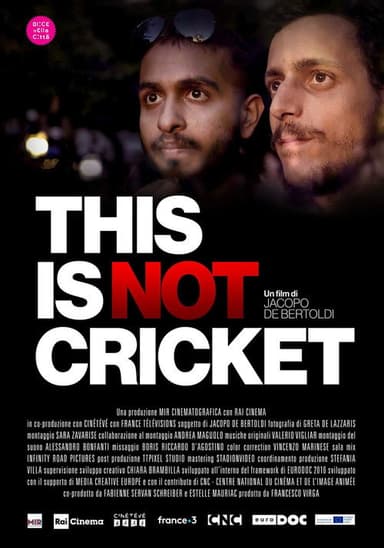 This is not Cricket poster