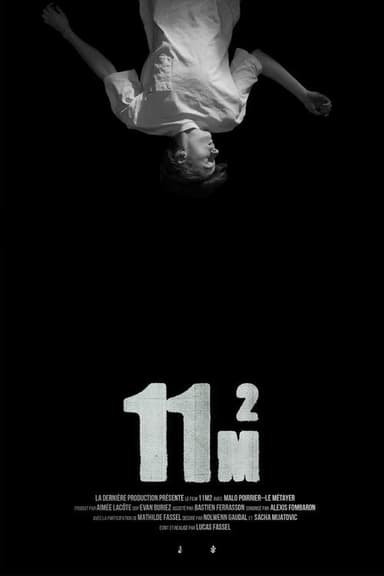 11m2 poster
