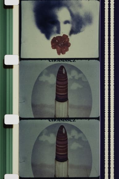 C'est Fou ! poster