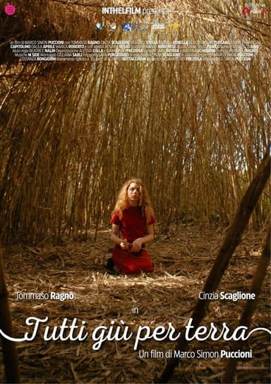 Tutti giù per terra poster